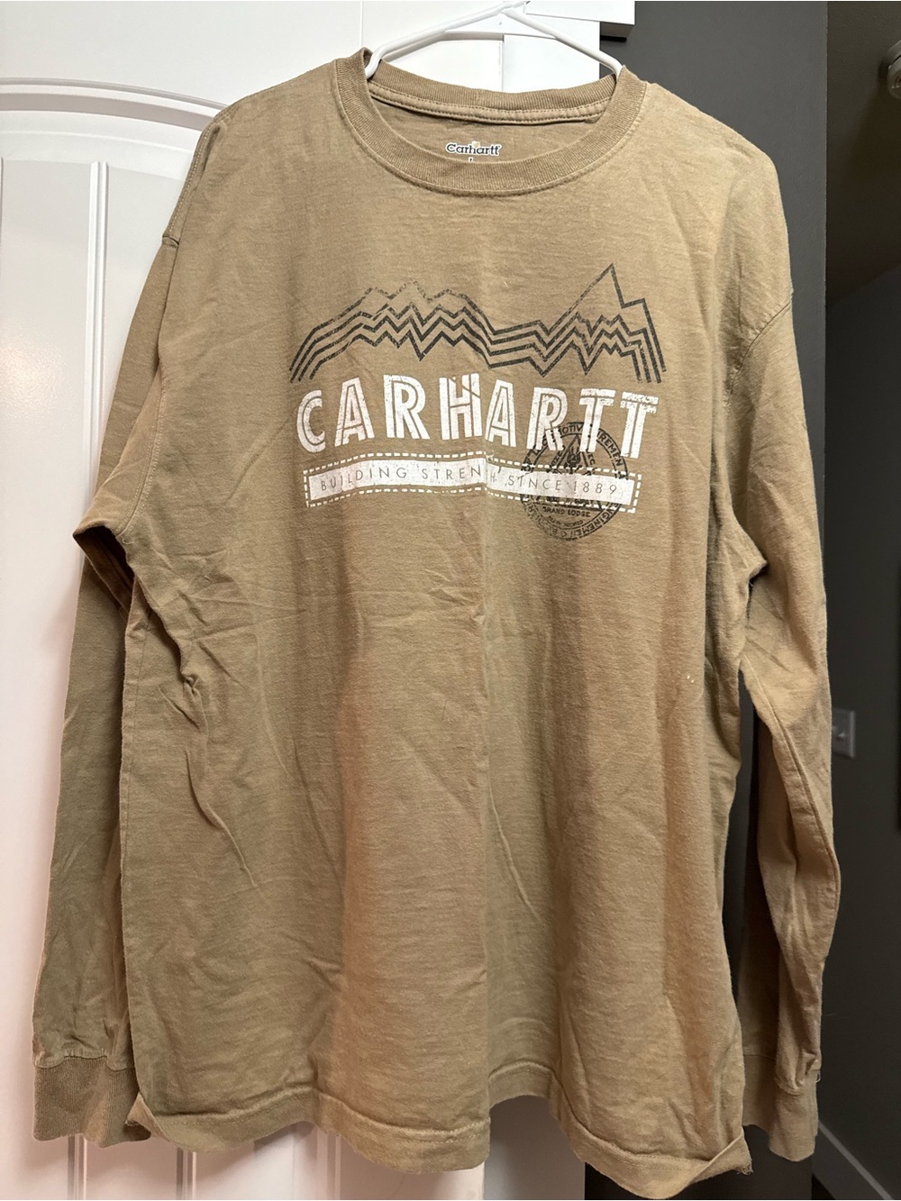 Carhartt Men’s Long Sleeve Graphic Tee - Tan